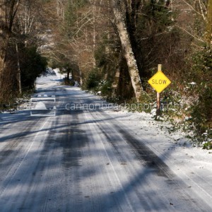 Snow on Ecola State Park Road