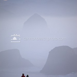 Misty view of Cannon Beach from Ecola State Park