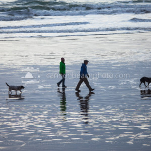 Dog Walk, Oregon Coast Beach