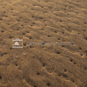 High Tide Sand Texture