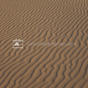 Sand Dune Texture
