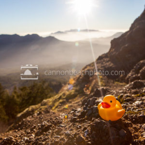 Rubber Ducky Mountain Appearance