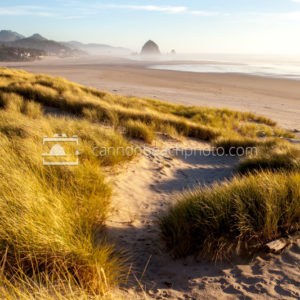 Sunny Dune View of Cannon Beach, Vertical