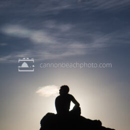 Silhouetted Man Thinking Upon a Rock 2