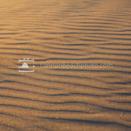 Sunlit Sparkly Sand Texture