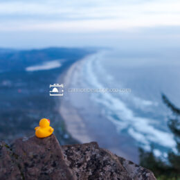 Neahkahnie Mountain Viewpoint with a Rubber Ducky