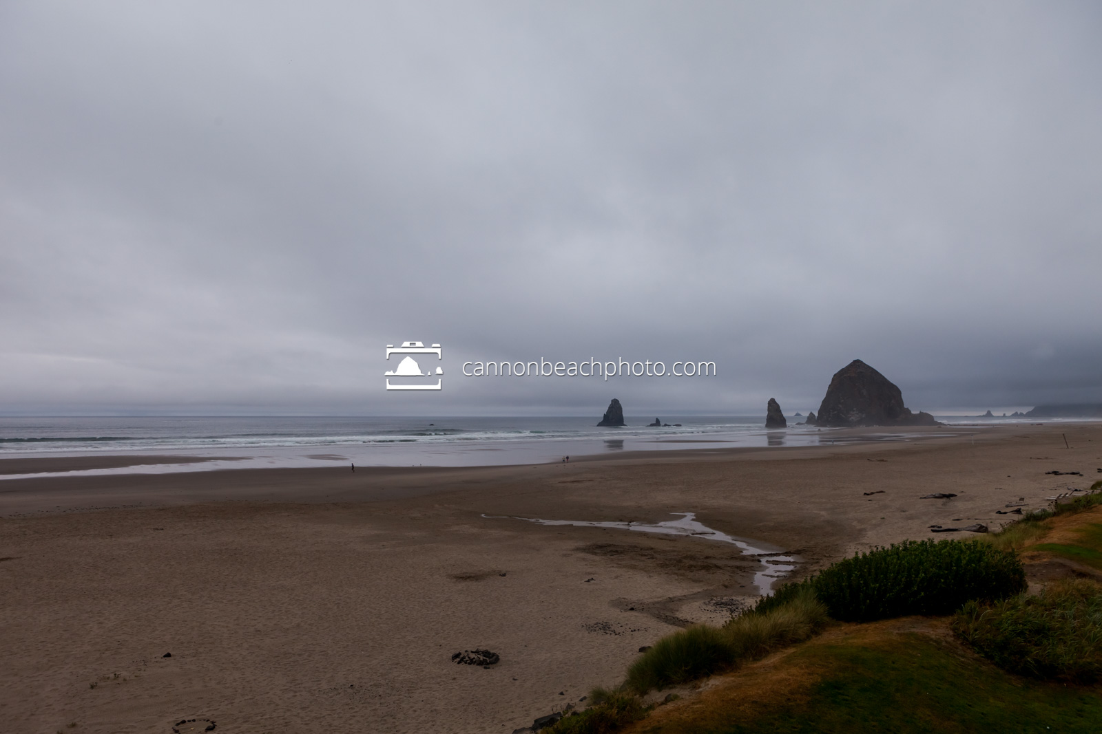 Rainy Day with Haystack Rock Wide